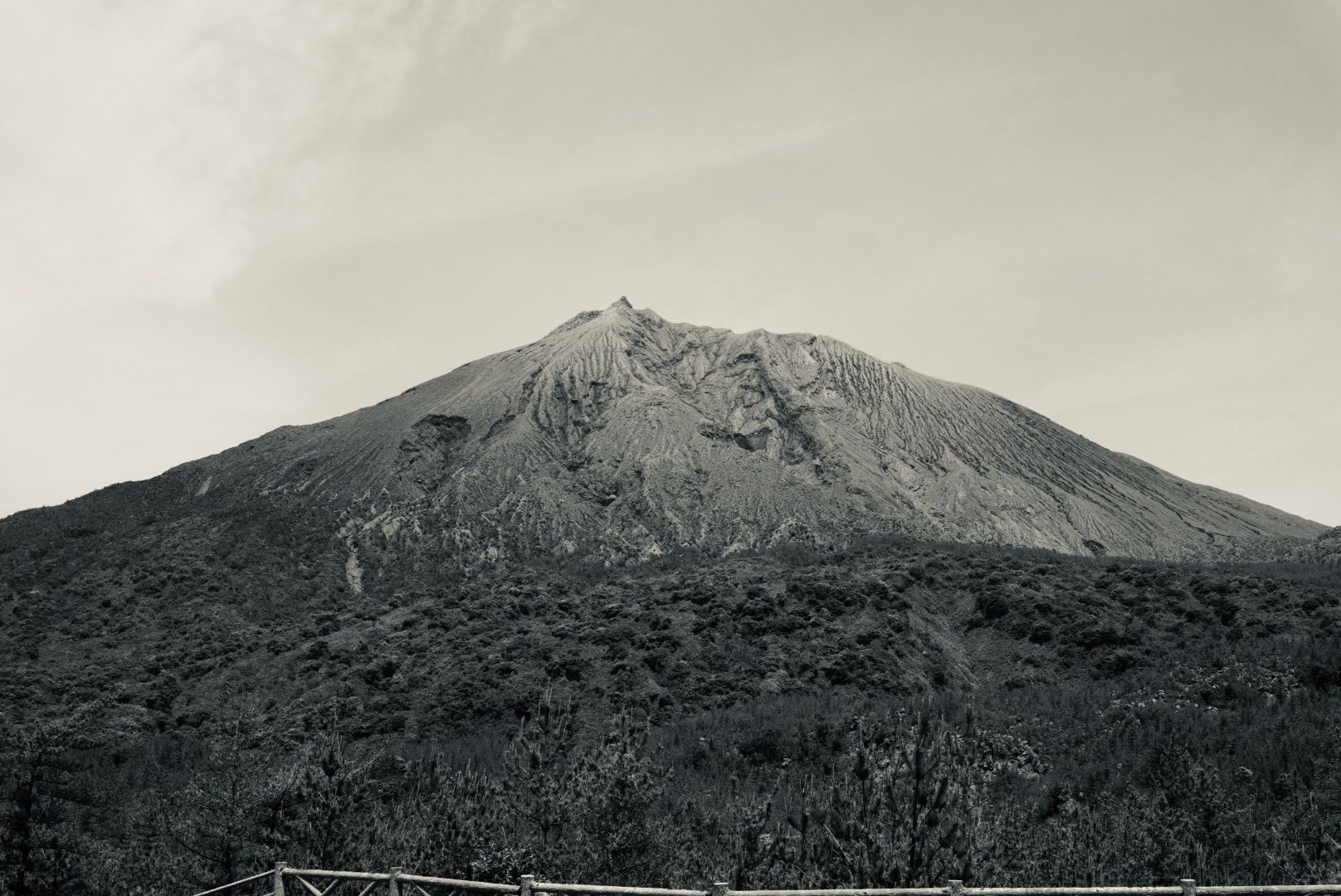 桜島